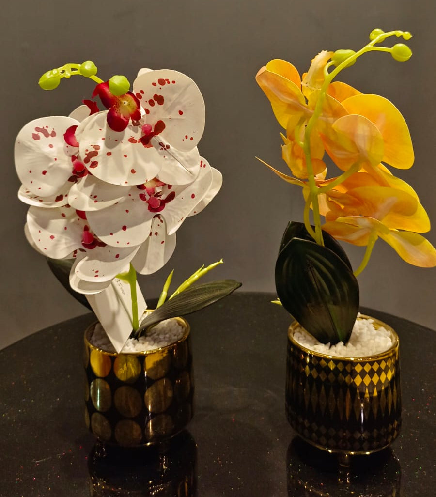 Luxury Orchid Centerpiece Duo by Z Galleria