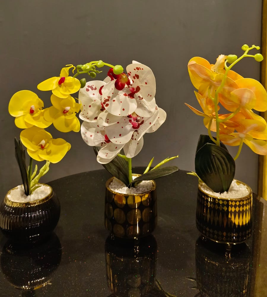 Luxury Orchid Centerpiece Duo detail view