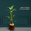 Feather Plant With Light & Planter - Z Galleria
