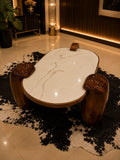 Arc Claw coffee table with solid Kikar wood base and natural marble top by Z Galleria