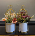 Pot Cage Golden - Z Galleria