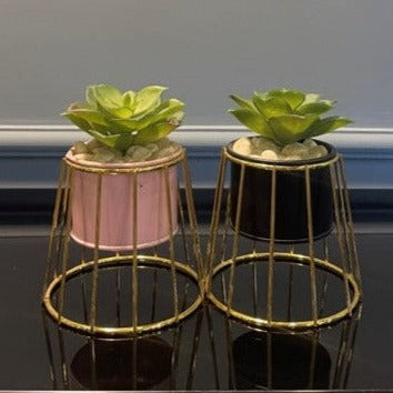 Small Ceramic Cage - Z Galleria