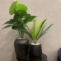 Black Texture Planter - Z Galleria