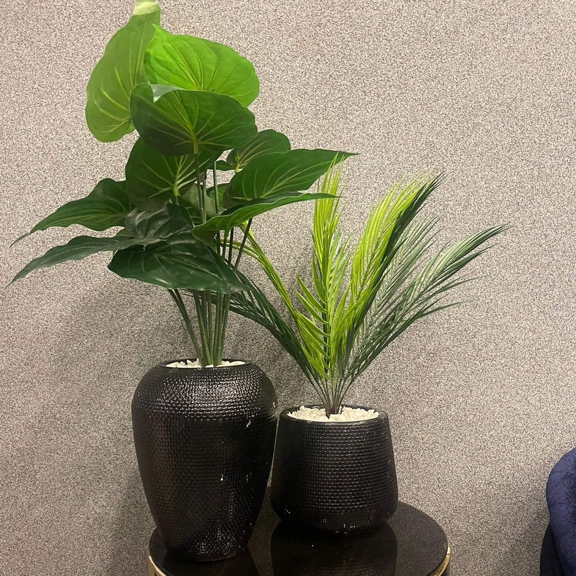 Black Texture Planter - Z Galleria