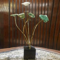 Marble Decor - Z Galleria