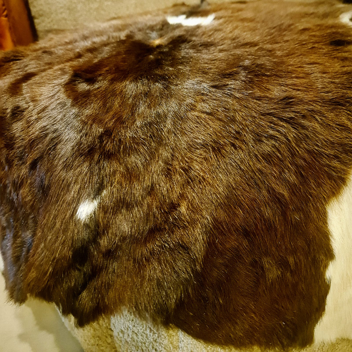 Real goat skin fur pelt detail view